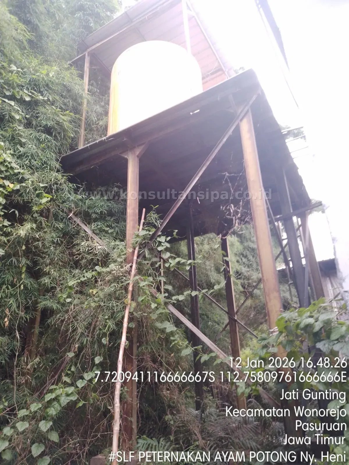 Pengujian hammer test pada pilar beton penyangga struktur kandang ayam